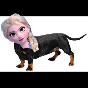 Meet your Posher, Marcel